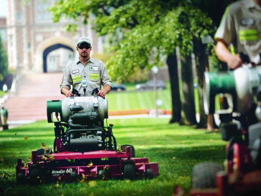 Mower Cylinder Services